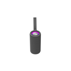 DENVER BTV-213 GY SPEAKER BLUETOOTH BATTERIA RICARICABILE USB AUX TWS