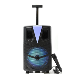 DENVER TSP-307 Altoparlante Bluetooth per trolley con luce LED e woofer da 8"